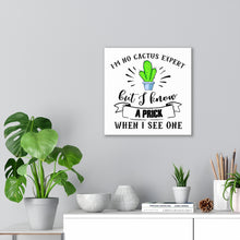 Load image into Gallery viewer, I'm No Cactus Expert, Canvas Wrap